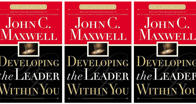 Best Business Books Developing the Leader