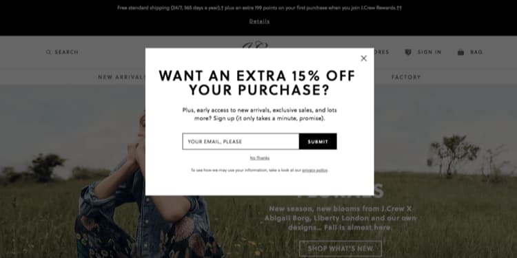 How to Grow a Blog with Exit Intent Popups J Crew Example