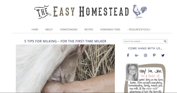 How to Name Your Blog Example The Easy Homestead