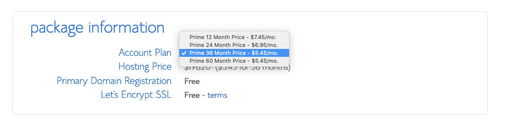 Selecting Your Package Details and Blog Hosting Plan Duration (Screenshot)