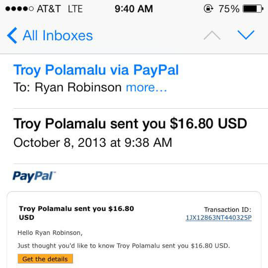 Troy Polamalu iStash Order