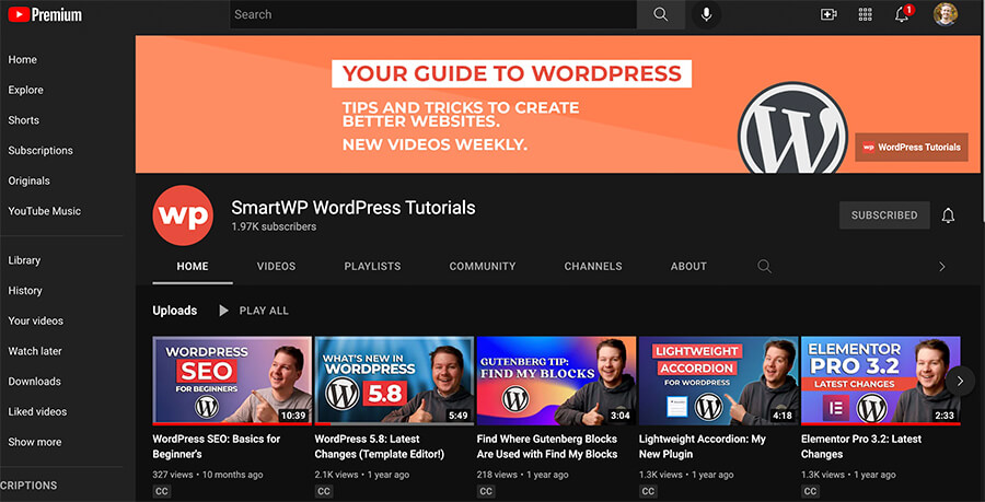 YouTube Channel Screenshot (Example Smart WordPress Channel)