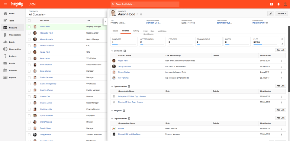 Insightly Best CRM for Small Business (Screenshot of Product in Use)