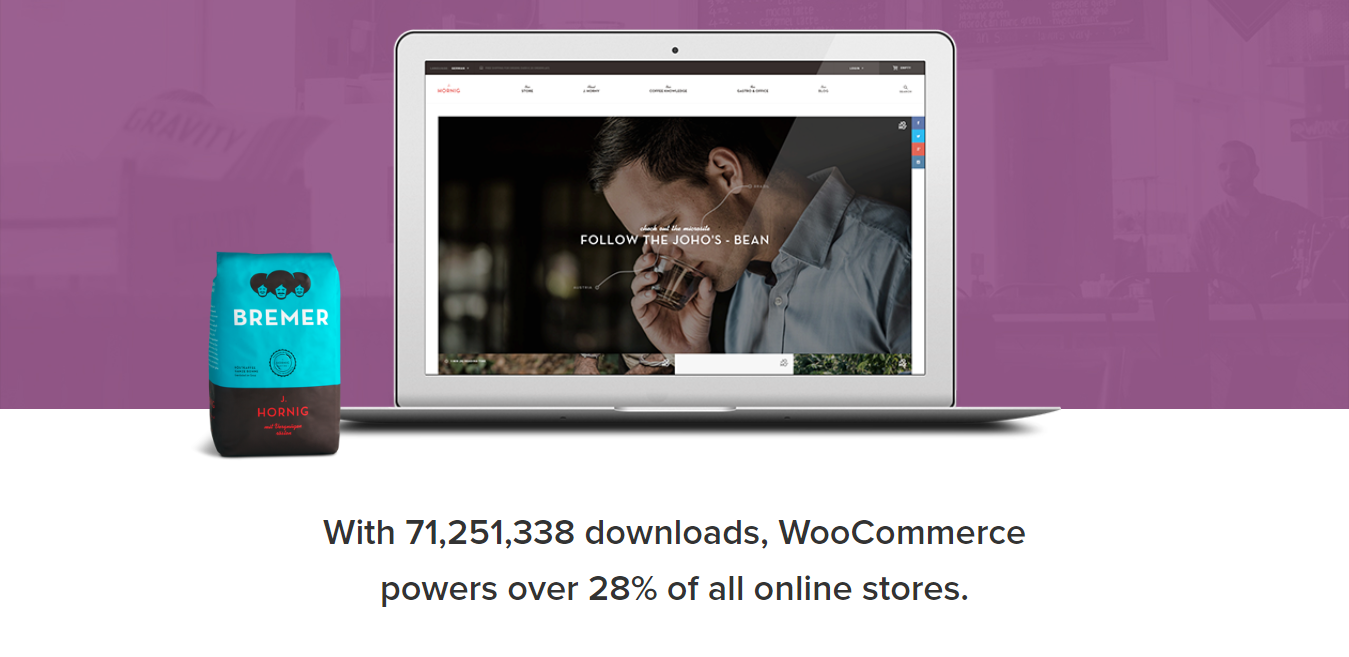 WooCommerce Homepage Product Screenshot of Website Builder