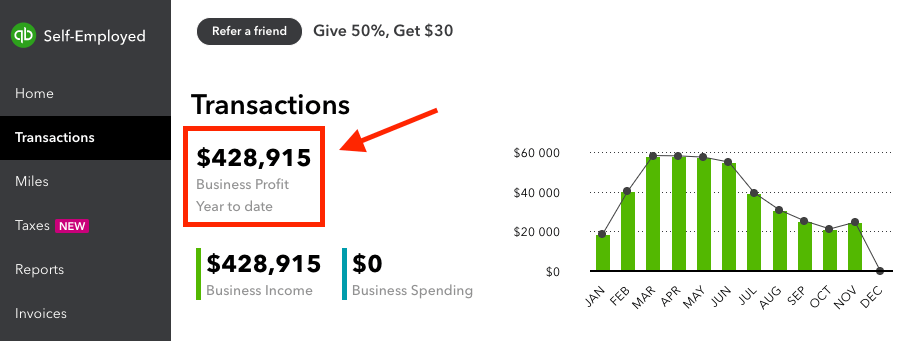 How to Make a Blog and Profit (Quickbooks Screenshot) Revenue Figures This Year