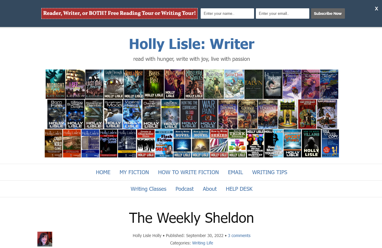 Holly Lisle Personal Blogging Example (Screenshot)