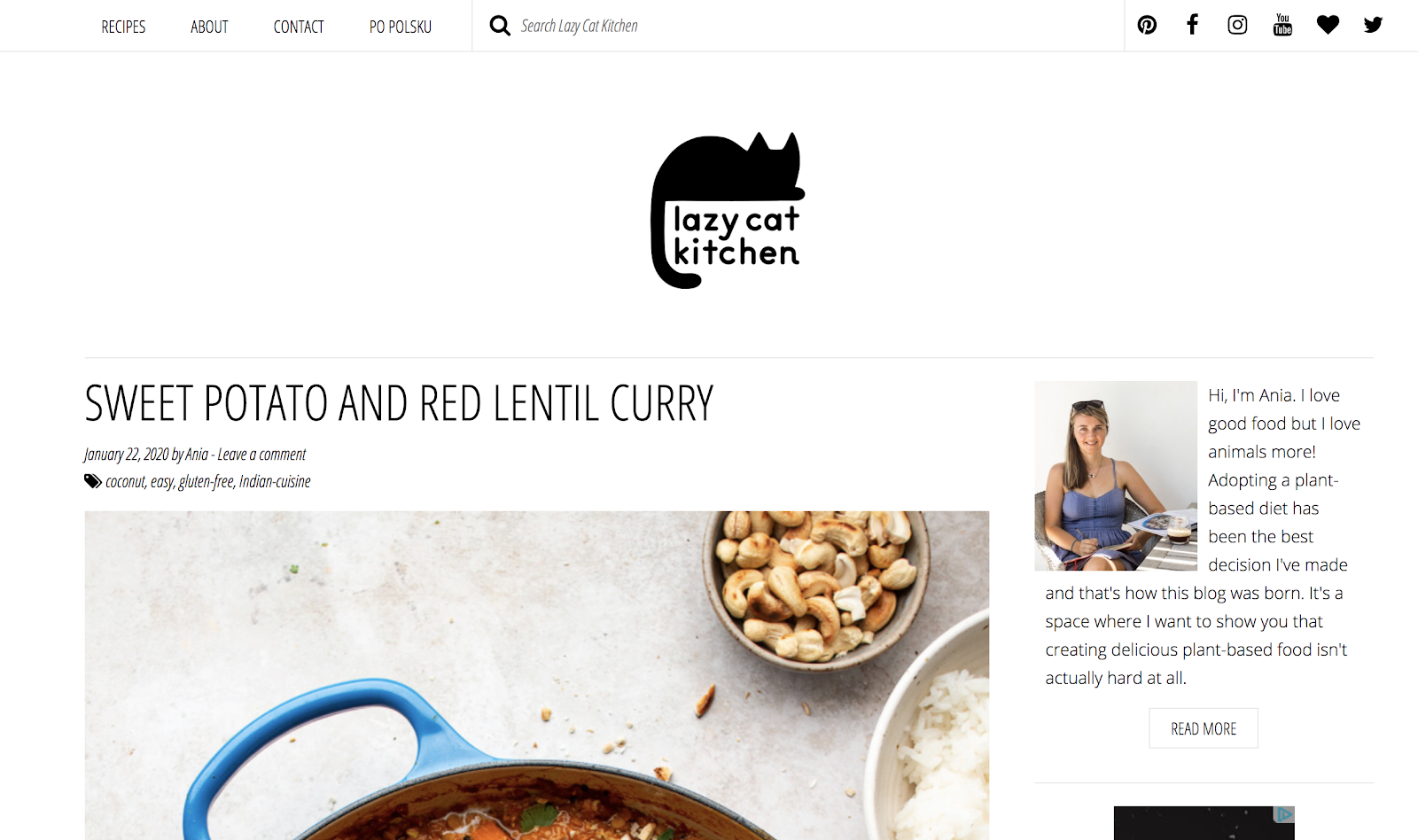 Lazy Cat Kitchen Blog Name Example (Homepage Screenshot)