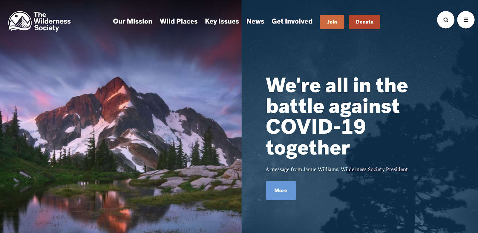 The Wilderness Society Call to Action Example (Homepage) CTA Screenshot