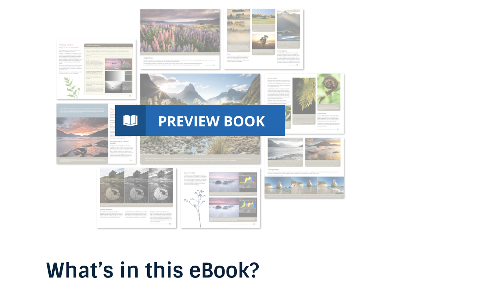 Digital Photography School eBook Example (Screenshot) and Preview Image