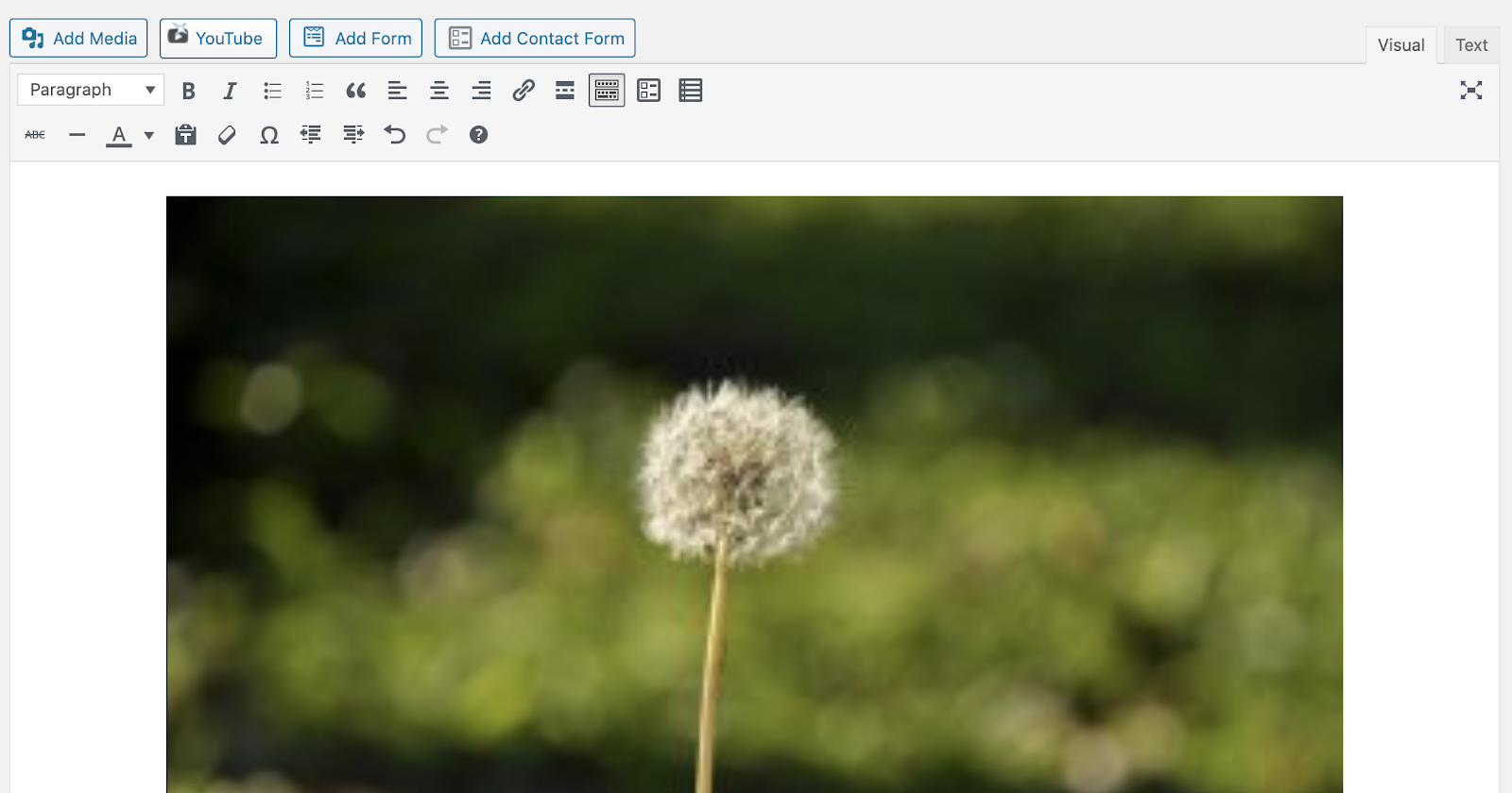 Screenshot Example of an Image in the Visual Editor of WordPress