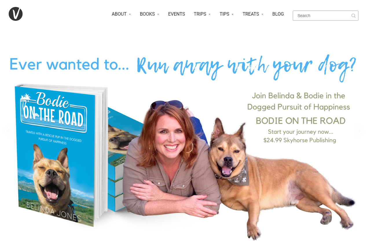 Bodie on the Road Pet Blogger Example (Dog Blog Screenshot)