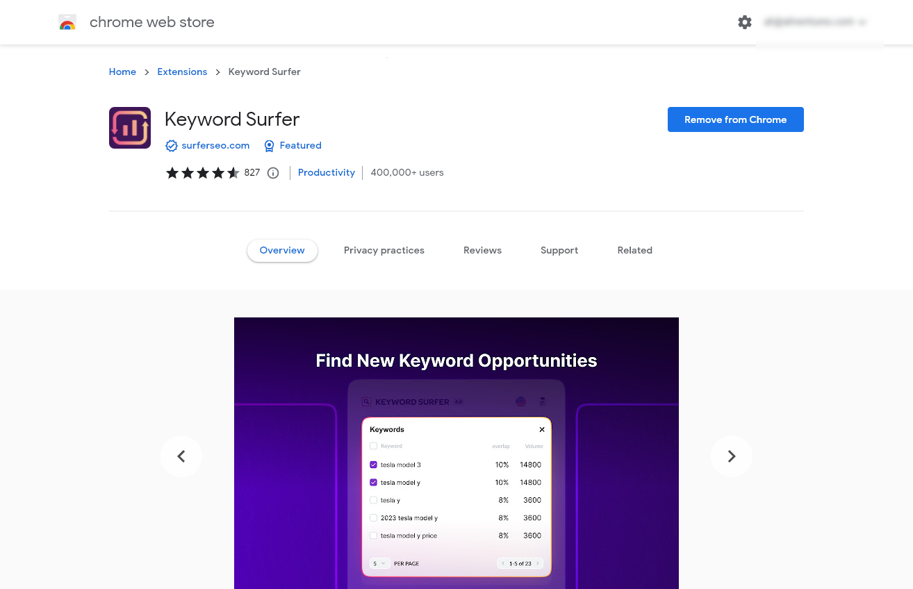 Keyword Surfer SEO Research Chrome Extension