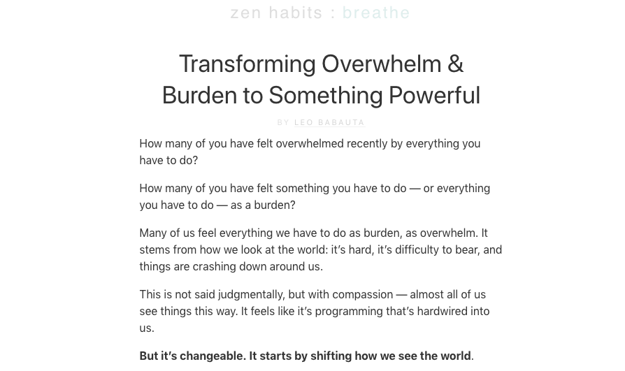 ZenHabits Niche Blog Example in the Mindfulness Space